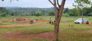 4m 50x50ft Gobero Kasudde