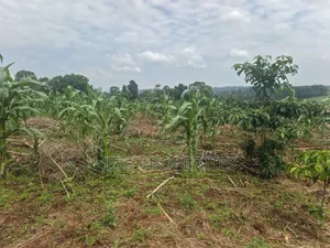 7acres of Titled Agricultural Land on Sale- Kyarusozi