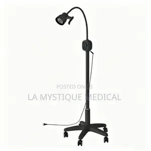 Adjustable Examination Portable Lamp