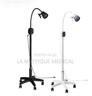 Adjustable Examination Portable Lamp