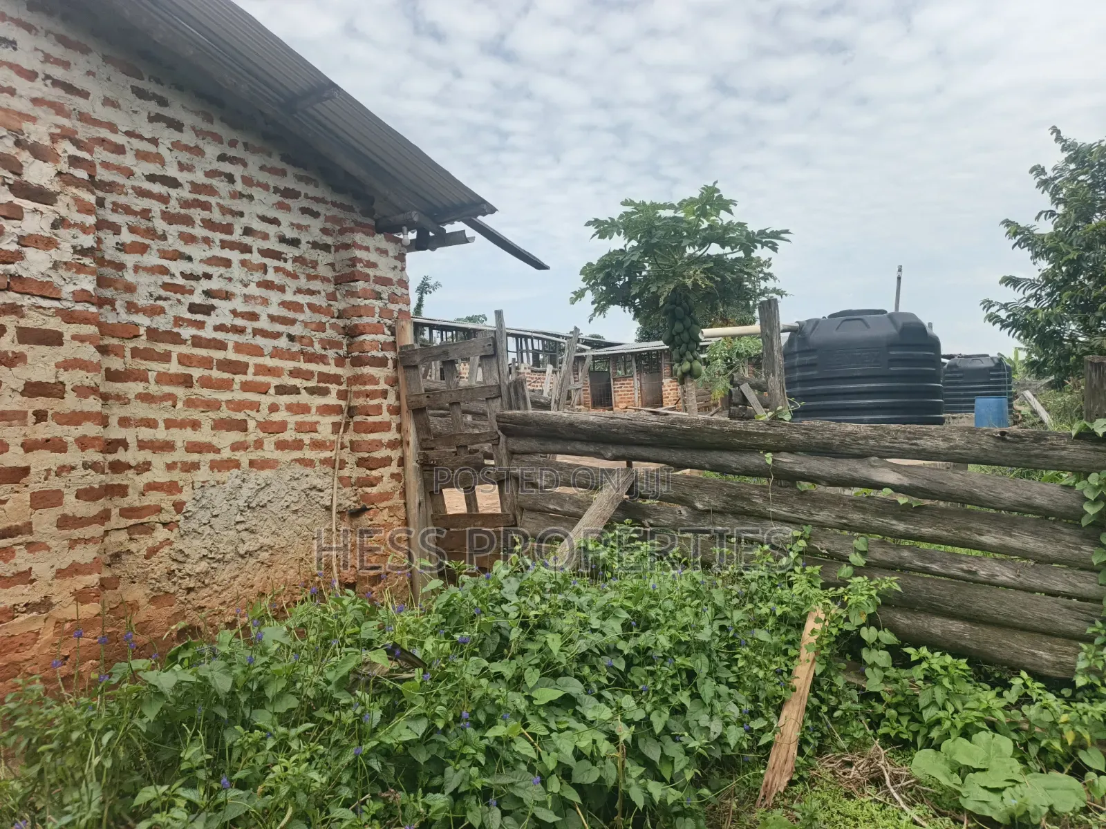 7acres of Titled Agricultural Land on Sale- Kyarusozi