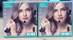 AY-102 Double Headwear Wireless Microphone