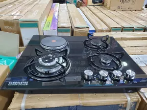 3+1 Globalstar Hybrid Burner With Electric Coil