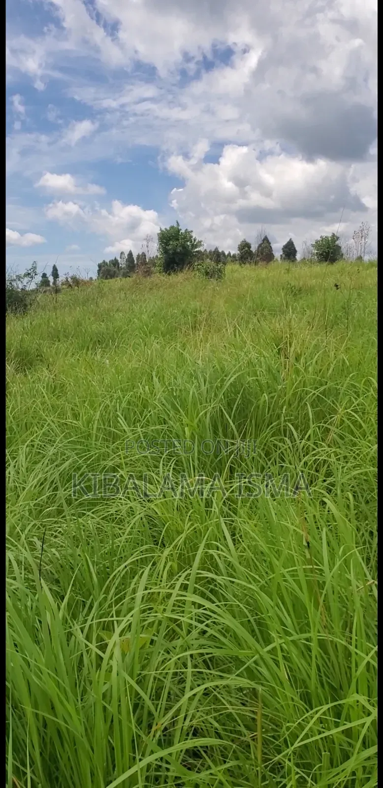 200 Acre for Sale in Kyabasenja Hoima District