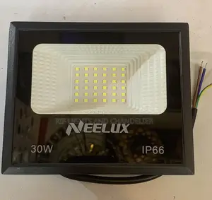 Neelux Flood Light 30 Watts