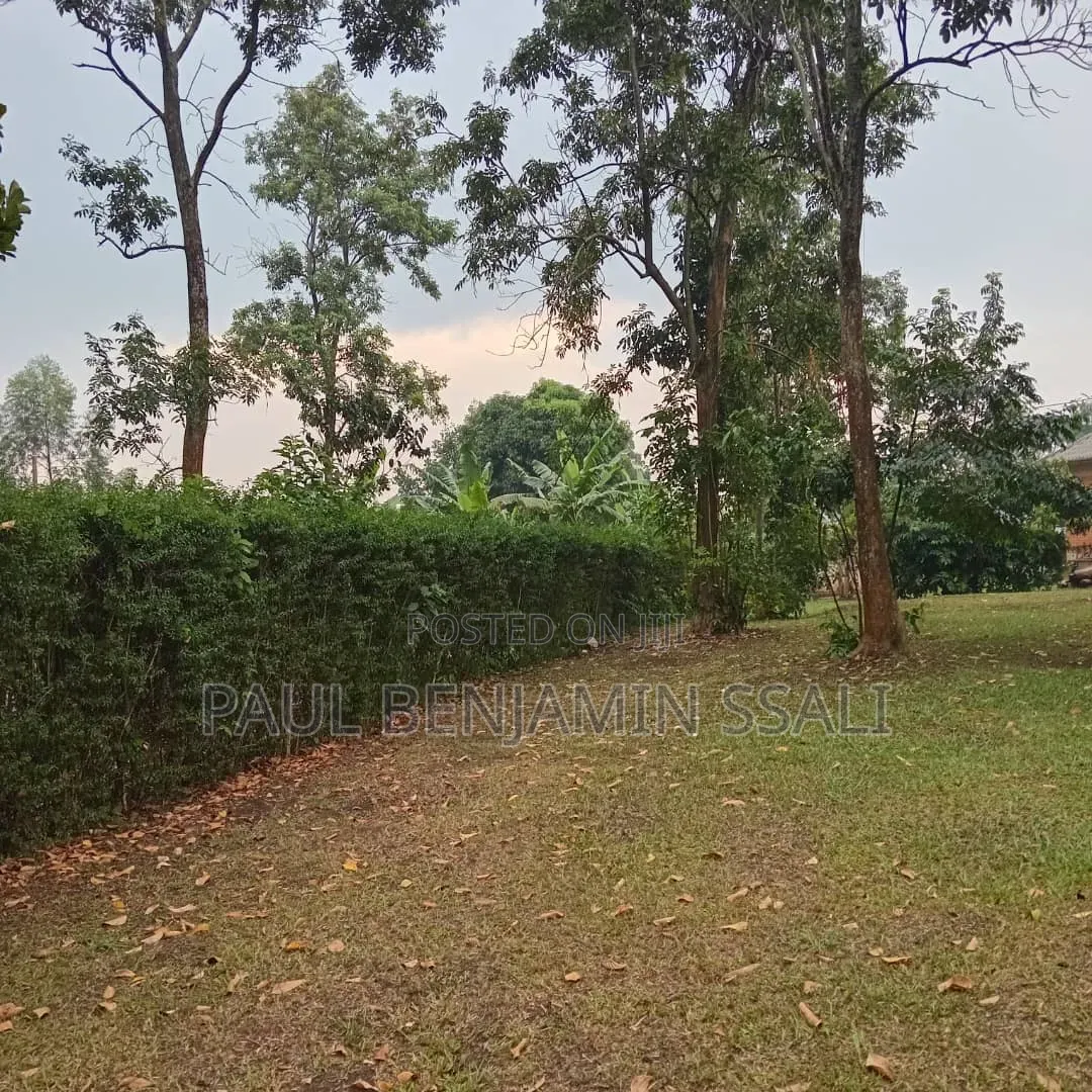 Commercial Plot