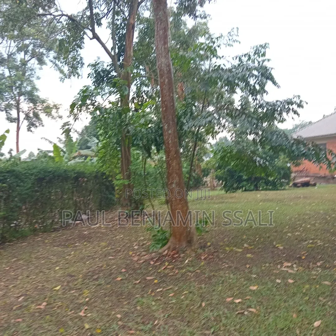 Commercial Plot