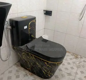 Black Gold Toilet