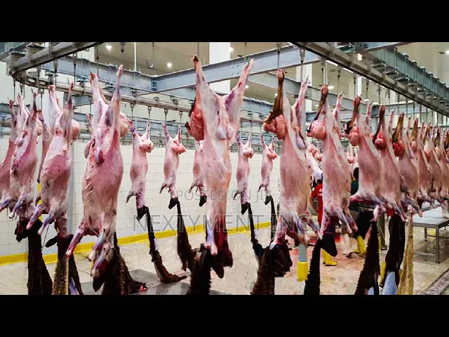 Embuzi, (Chevon) Goat Meat for Sale
