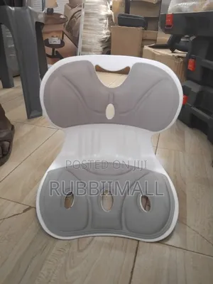 Ergonomic Lumbar Support Posture Correction