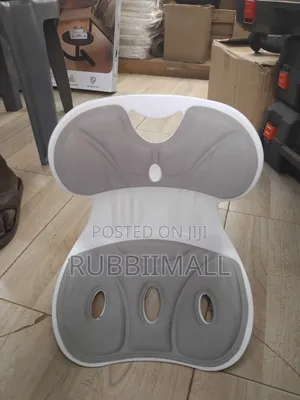 Ergonomic Lumbar Support Posture Correction