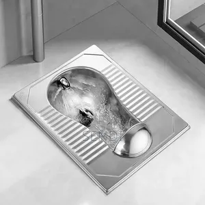 Stainless Squatting Toilet