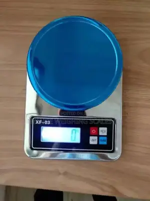 Precision Weighing Scale Accurate Weigh 5kg Weighing Scale