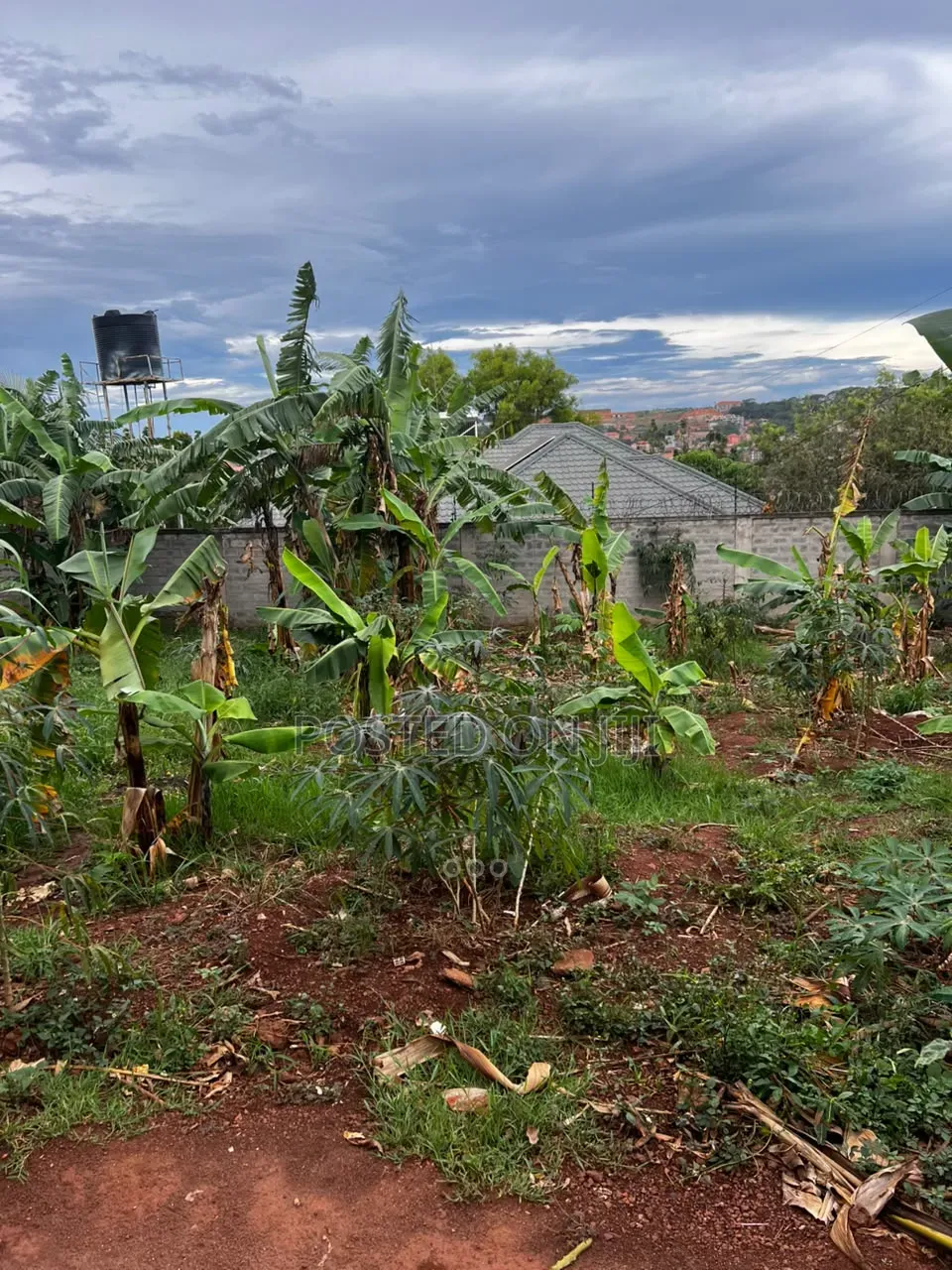Plot for Sale in Nalumunye