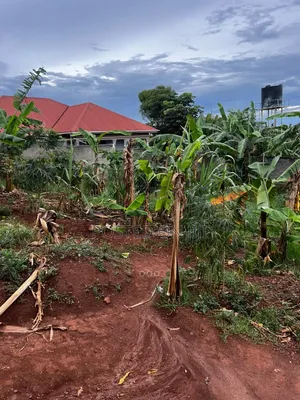 Plot for Sale in Nalumunye