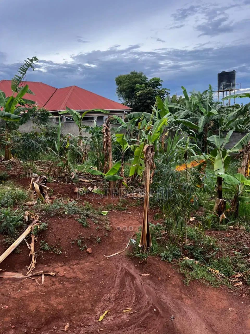 Plot for Sale in Nalumunye