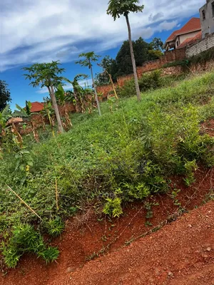 Plot of Land for Sale