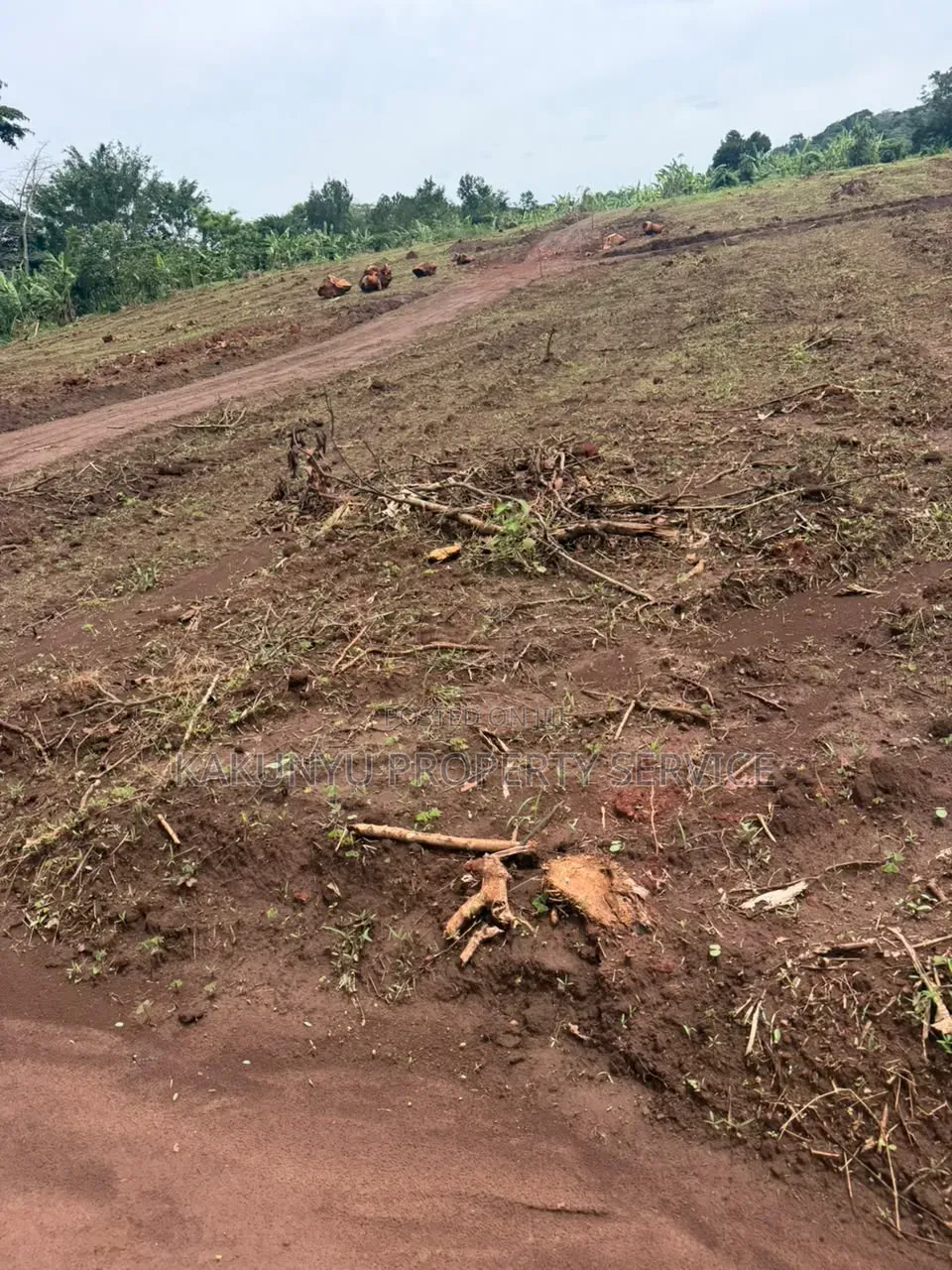 Kakiri Mwera 18m Titled Plots
