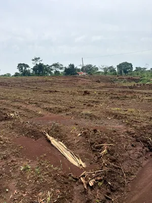 Kakiri Mwera 18m Titled Plots