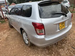 Toyota Corolla Fielder 2009 Silver
