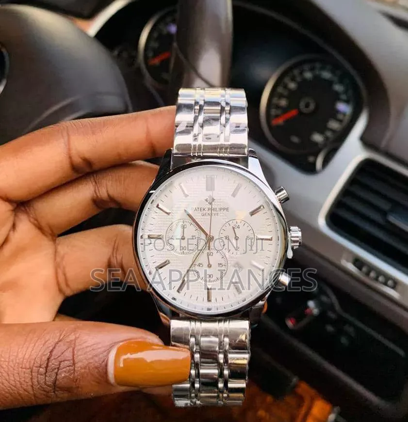 Patek Philippe Silver Metallic