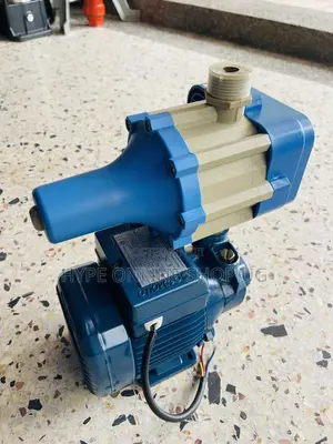 Pedrollo Sacker Water Pump,H-M 40,model PKM 60,