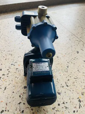 Pedrollo H-P 36,model CPM 158,sacker Water Pump