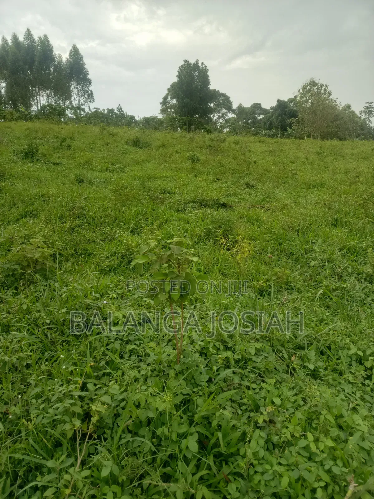 Mpoma Satelite Estate Plots
