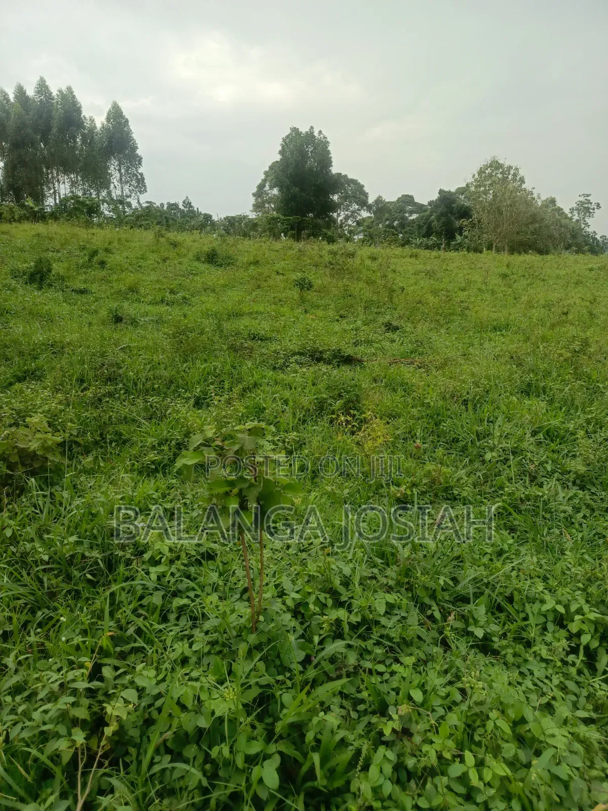 Mpoma Satelite Estate Plots