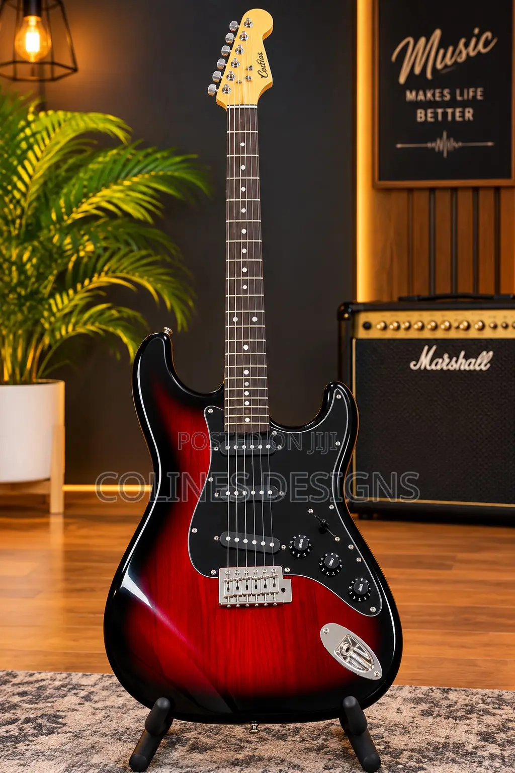 Solo Guitar Ibanez