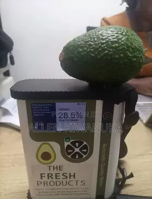 Hass Avocados Grade a/1
