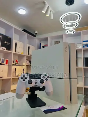 PS4 Standard 13 Games, 2 Controllers: Friends Bring Soda and Snacks