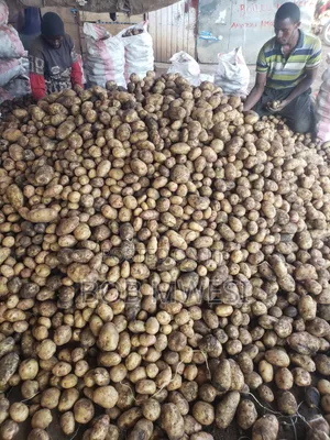 Sorted Irish Potatoe Tubers
