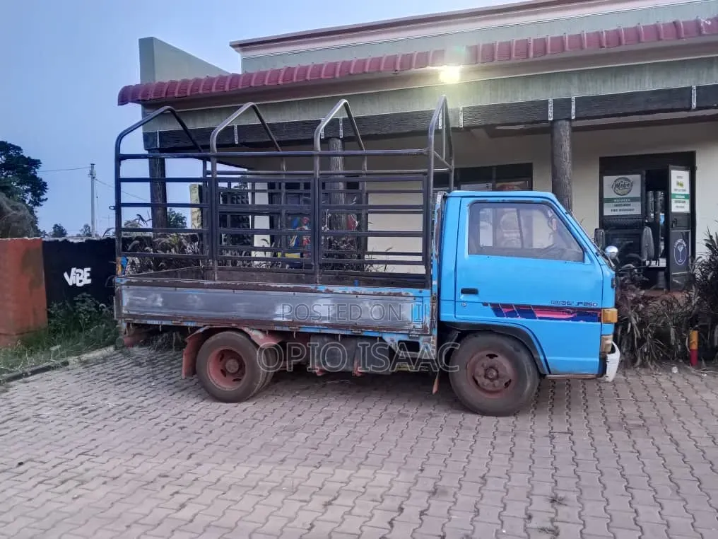 Isuzu Elf Truck
