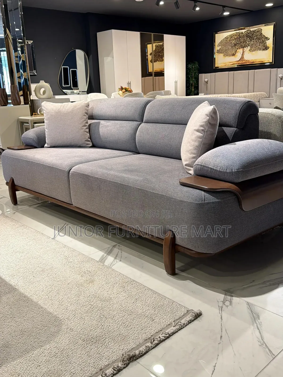 Modern Sofa