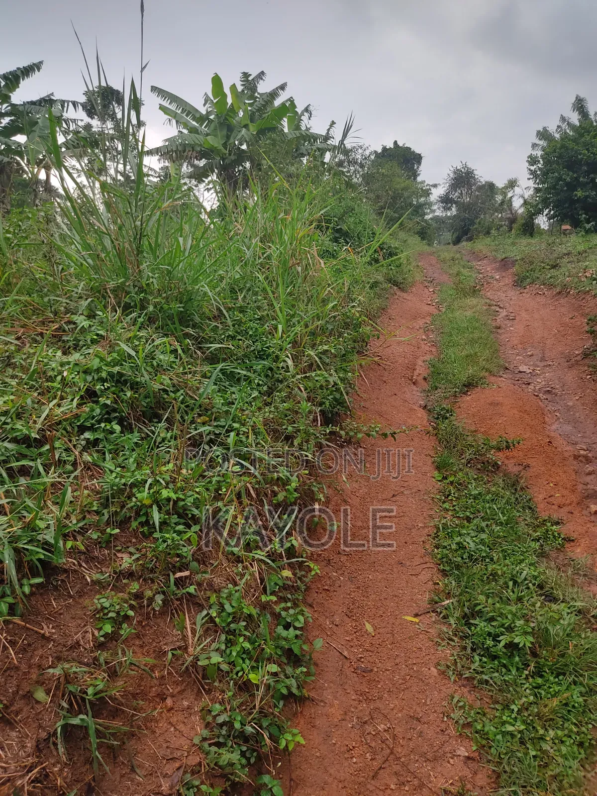 Cheap Acre for Sale in Buwambo