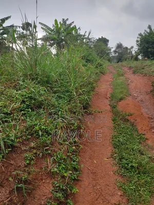 Cheap Acre for Sale in Buwambo