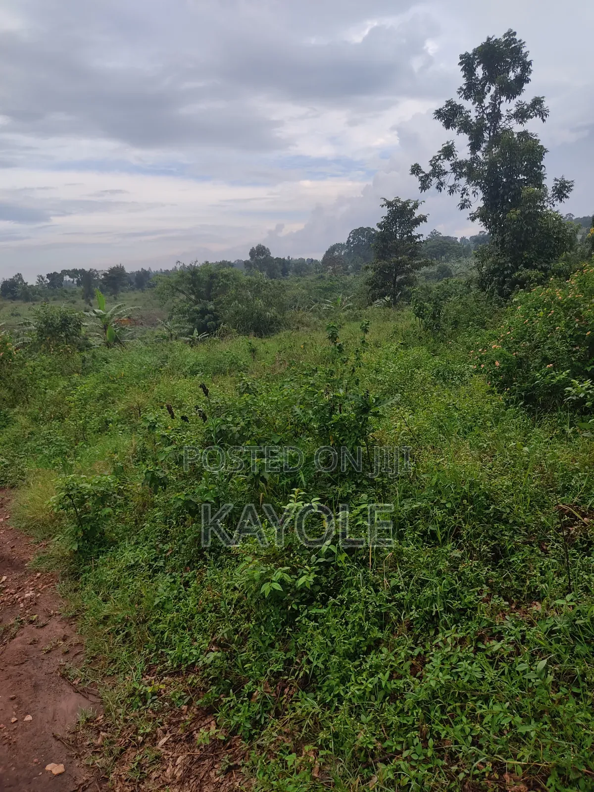 Cheap Acre for Sale in Buwambo