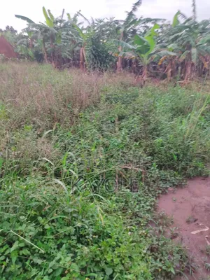 150x50 at Buwambo Banda 43m Main Road