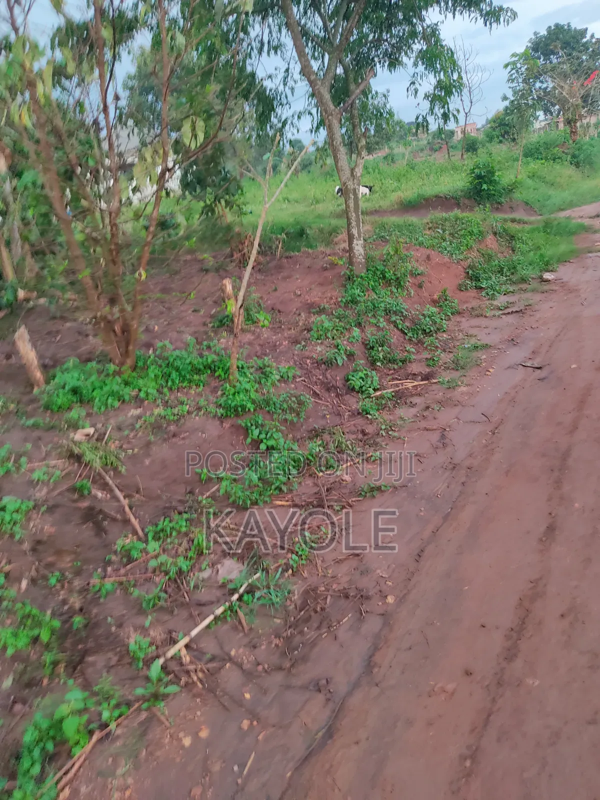 150x50 at Buwambo Banda 43m Main Road
