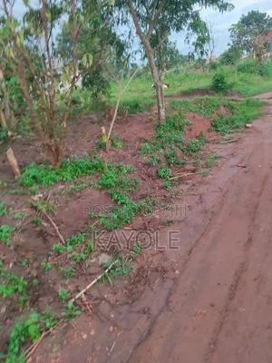150x50 at Buwambo Banda 43m Main Road