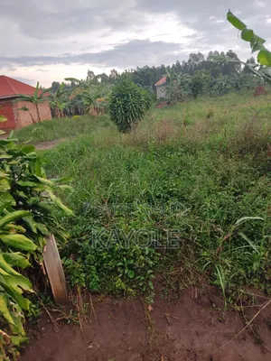 150x50 at Buwambo Banda 43m Main Road