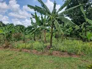 Land for Sell in Busia