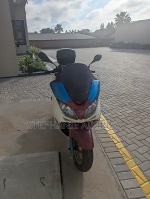 Honda Forza 2004 White
