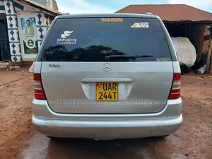 Mercedes-Benz M Class 2002 Silver
