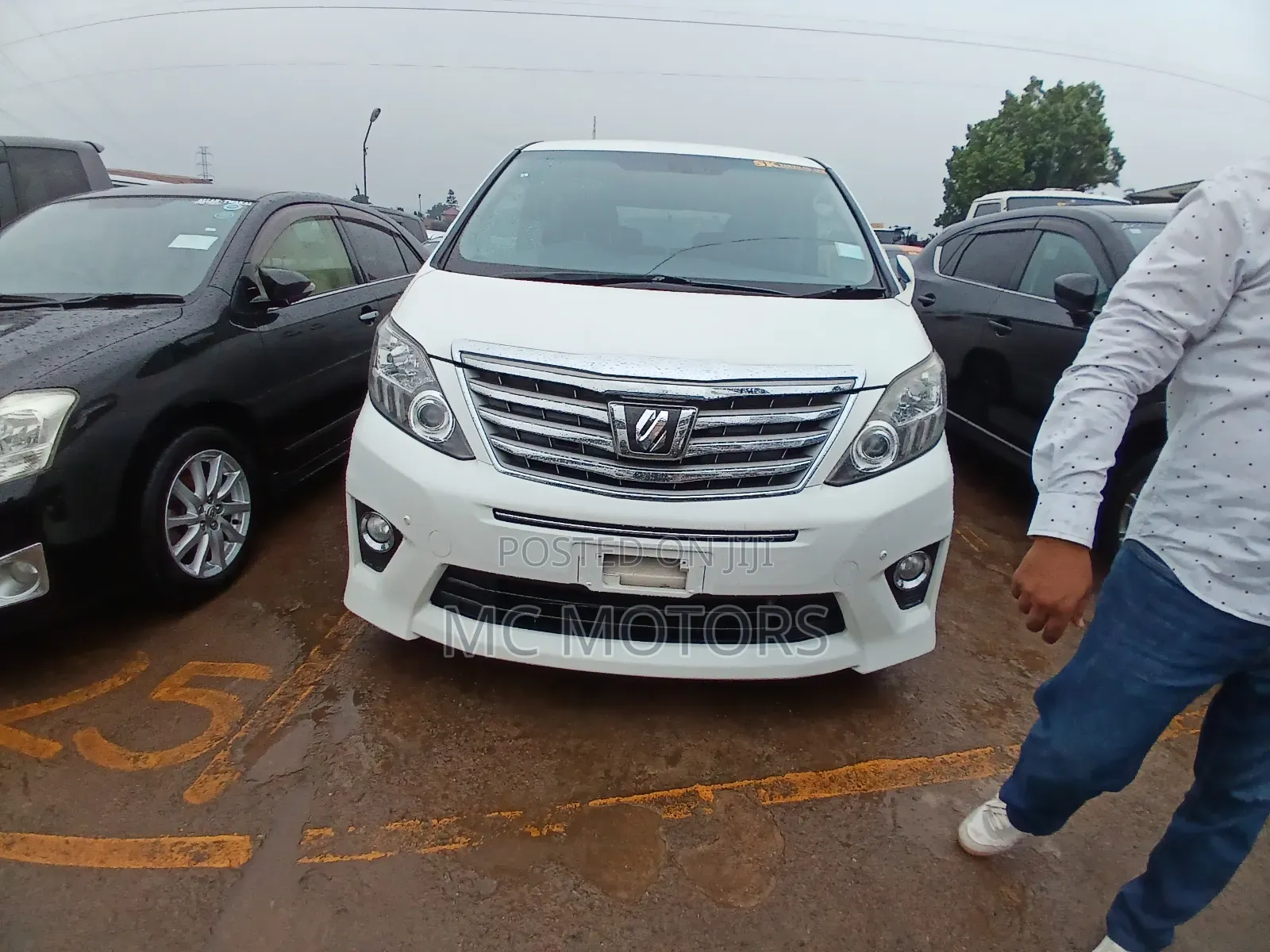 Toyota Alphard 2.4 Petrol AWD 2013 White