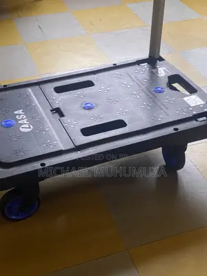 LASA Folding-Handle Platform Trolley