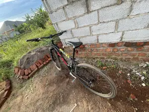 29 Inch Aluminium Frame Mountain Bike