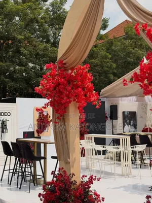 Events Management & Decorations