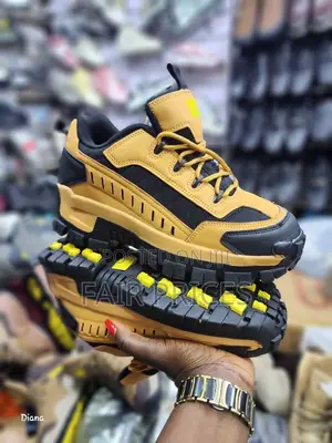 Caterpillar Hiking Shoes
